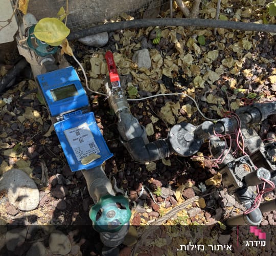 מערכת צינורות וברזים בגינה עם עלים יבשים